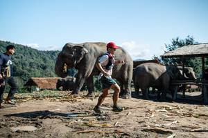 BIB: 
                            <button type="button" onclick="openModal(22423644)" class="btn btn-primary btn-sm float-right btn-popup" data-toggle="modal" data-target=".modal-high-quality">
                        <i class="fas fa-shopping-cart"></i> Add to Cart
                    </button>
                                            <button type="button" onclick="isThisMe(22423644, true)" class="btn btn-success btn-sm float-right btn-popup btn-isme hidden" data-toggle="tooltip" data-placement="bottom" title="นี่คือรูปของคุณใช่ไหม คลิกที่นี่เพื่อเอาเข้าอัลบั้ม">
                        <i class="fas fa-plus"></i> Add to album
                    </button>
                    <button type="button" onclick="isThisMe(22423644, false)" class="btn btn-warning btn-sm float-right btn-popup btn-isnotme hidden">
                        <i class="fas fa-ban"></i> Remove from album
                    </button>